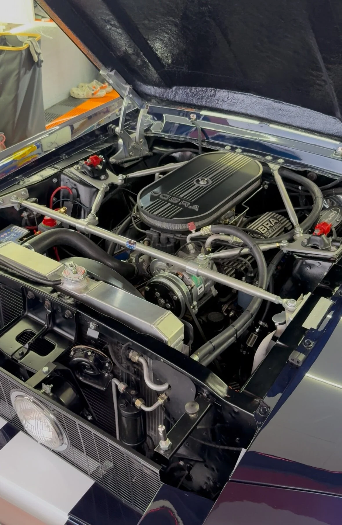 Detalles del compartimento motor